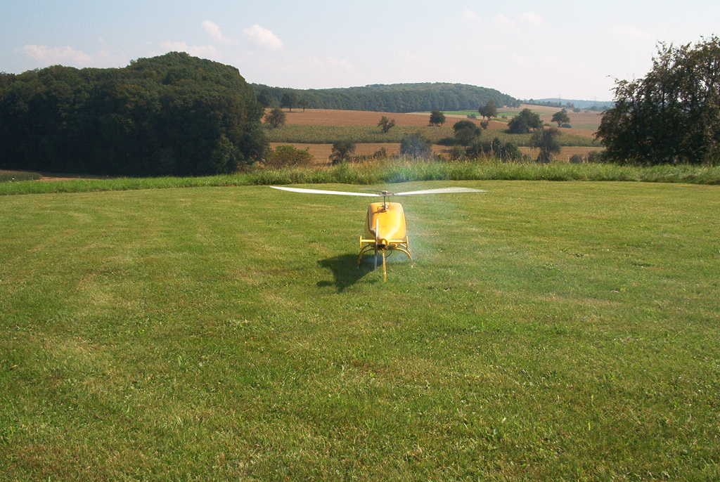 D-S 22 von Schlüter/Hegi